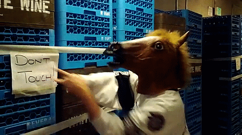 Dont-Touch-Horse.gif