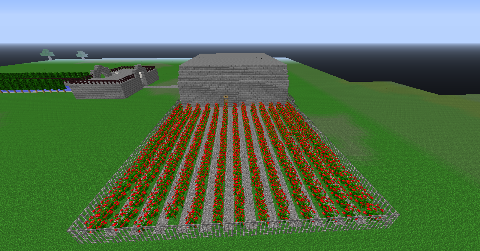 Red wine grapes.png