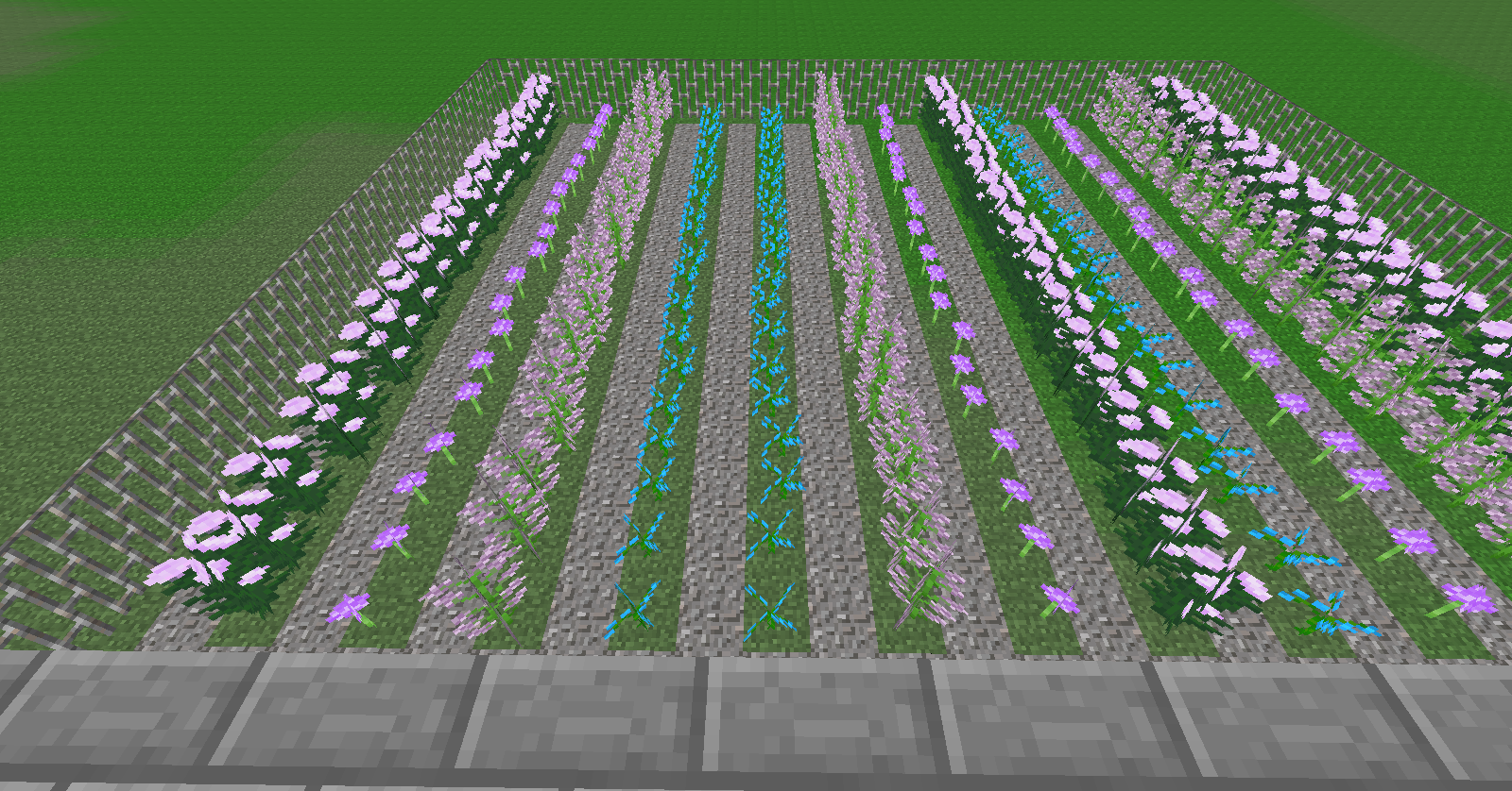 different grape vines.png